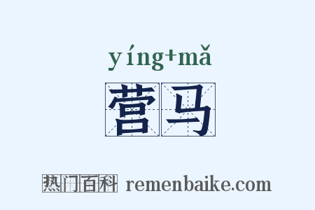 营马是什么意思的图片